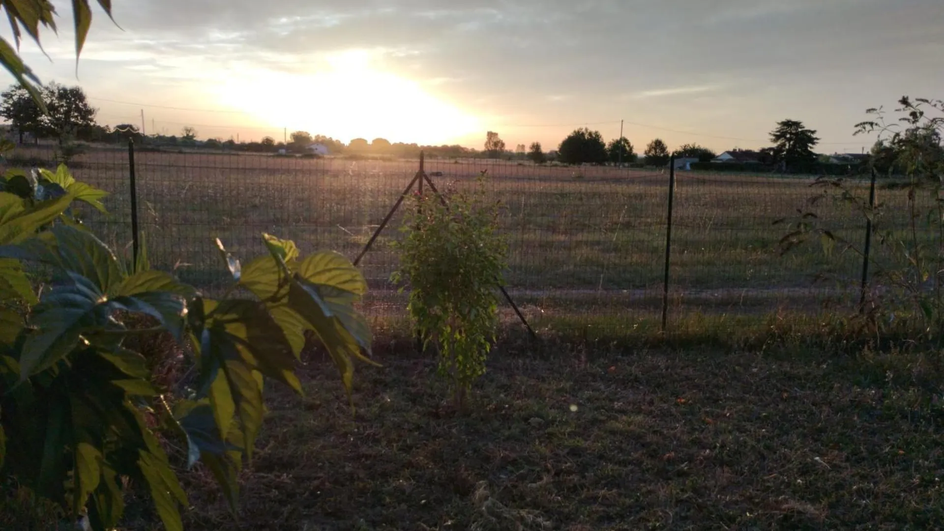 Maison De Campagne Dans Le Vignoble Gallacois Gaillac France